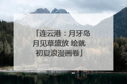 连云港：月牙岛月见草盛放 绘就初夏浪漫画卷