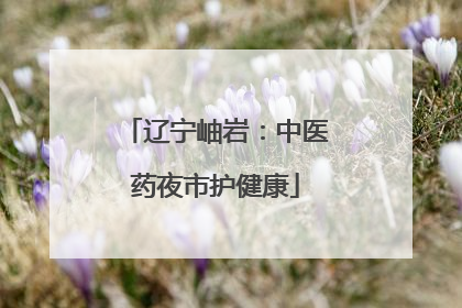 辽宁岫岩：中医药夜市护健康