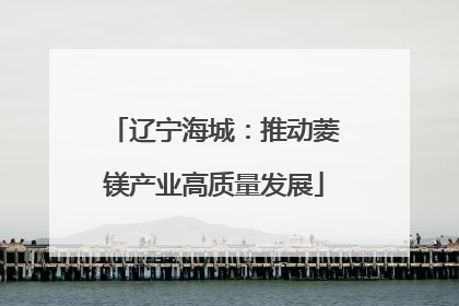 辽宁海城：推动菱镁产业高质量发展