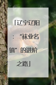 辽宁辽阳：“袜业名镇”的进阶之路