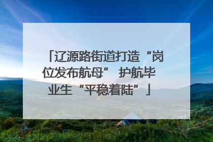 辽源路街道打造“岗位发布航母” 护航毕业生“平稳着陆”