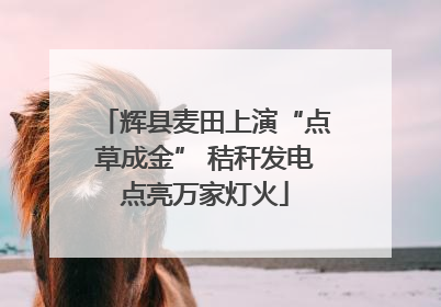 辉县麦田上演“点草成金” 秸秆发电点亮万家灯火