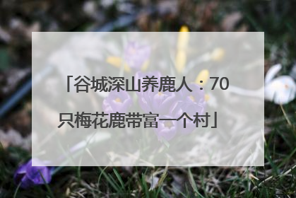 谷城深山养鹿人：70只梅花鹿带富一个村