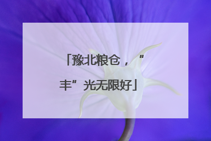 豫北粮仓，“丰”光无限好