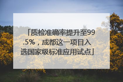 质检准确率提升至99.5%，成都这一项目入选国家级标准应用试点
