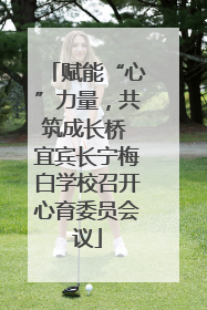 赋能“心”力量，共筑成长桥 宜宾长宁梅白学校召开心育委员会议
