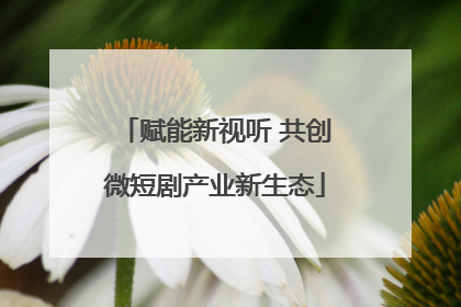 赋能新视听 共创微短剧产业新生态
