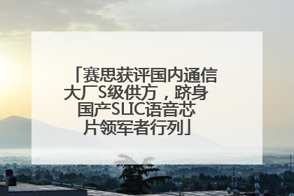 赛思获评国内通信大厂S级供方，跻身国产SLIC语音芯片领军者行列