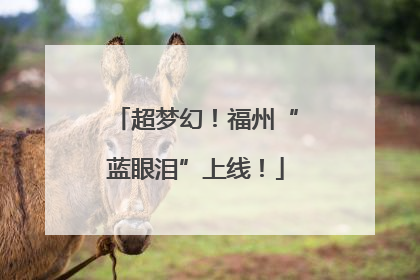 超梦幻！福州“蓝眼泪”上线！