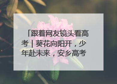 跟着网友镜头看高考｜葵花向阳开，少年赴未来，安乡高考首日的希望图景