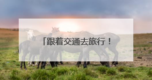 跟着交通去旅行！这场自行车骑行活动点亮衢江山水