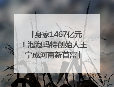 身家1467亿元！泡泡玛特创始人王宁成河南新首富