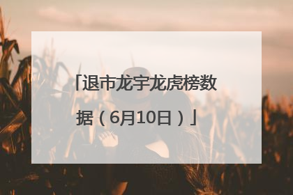 退市龙宇龙虎榜数据（6月10日）