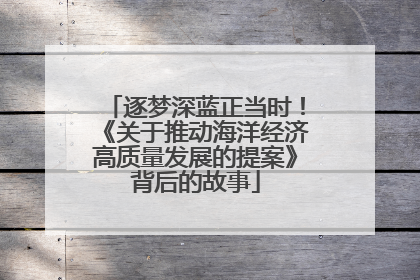 逐梦深蓝正当时！《关于推动海洋经济高质量发展的提案》背后的故事