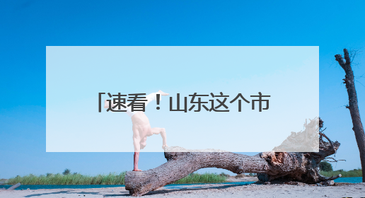 速看！山东这个市，首段“双向八车道”高速路来了~