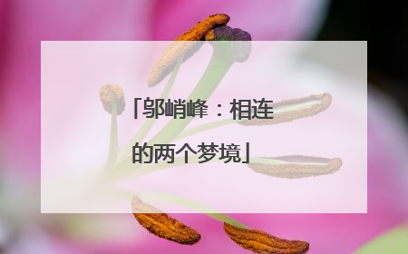 邬峭峰：相连的两个梦境