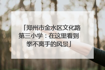 郑州市金水区文化路第三小学：在这里看到拳不离手的风景