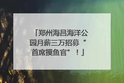 郑州海昌海洋公园月薪三万招募“首席摸鱼官”！