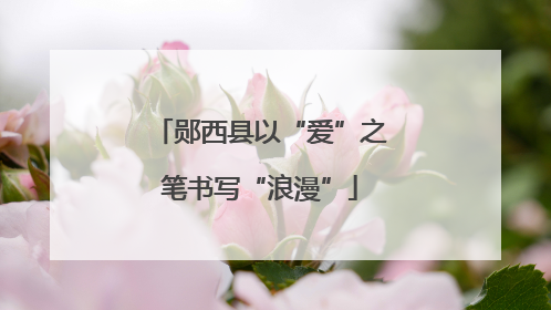 郧西县以“爱”之笔书写“浪漫”