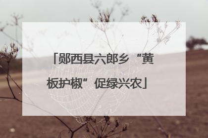 郧西县六郎乡“黄板护椒”促绿兴农