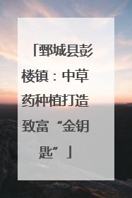 鄄城县彭楼镇：中草药种植打造致富“金钥匙”