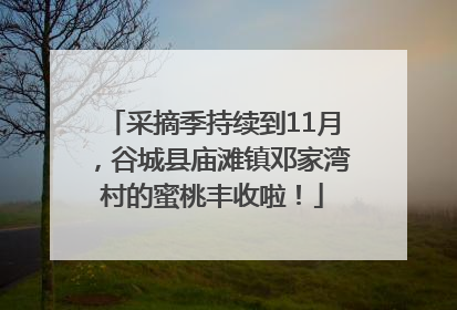 采摘季持续到11月，谷城县庙滩镇邓家湾村的蜜桃丰收啦！