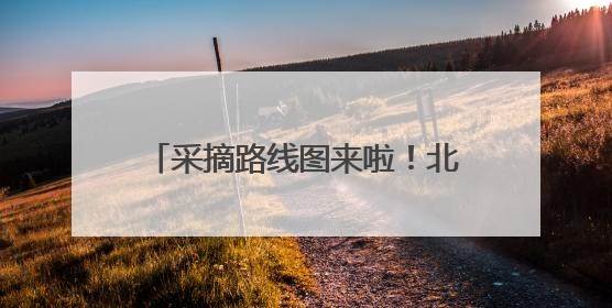 采摘路线图来啦！北京昌平近5000亩樱桃迎来采摘黄金期
