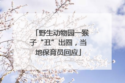 野生动物园一猴子“丑”出圈，当地保育员回应