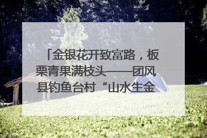 金银花开致富路，板栗青果满枝头——团风县钓鱼台村“山水生金”谱写共富新篇章