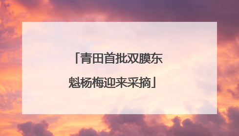 青田首批双膜东魁杨梅迎来采摘