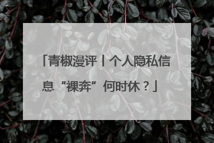 青椒漫评丨个人隐私信息“裸奔”何时休？