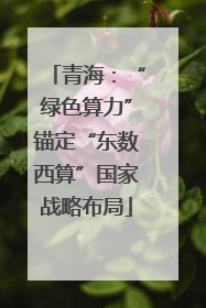 青海：“绿色算力”锚定“东数西算”国家战略布局