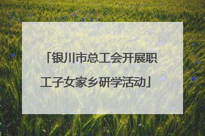 银川市总工会开展职工子女家乡研学活动