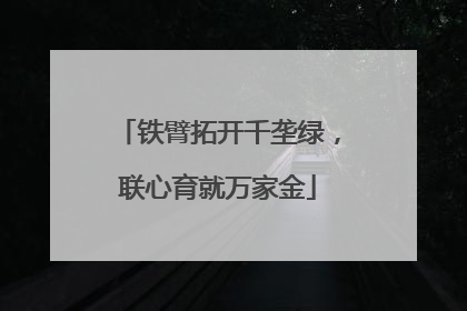 铁臂拓开千垄绿，联心育就万家金