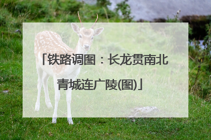 铁路调图：长龙贯南北 青城连广陵(图)