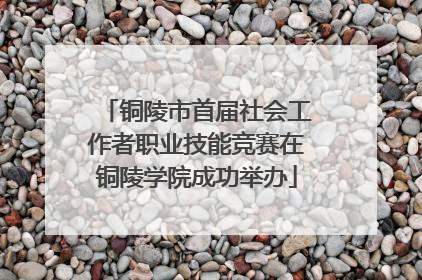 铜陵市首届社会工作者职业技能竞赛在铜陵学院成功举办