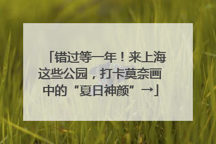 错过等一年！来上海这些公园，打卡莫奈画中的“夏日神颜”→