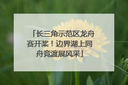 长三角示范区龙舟赛开桨！边界湖上同舟竞渡展风采