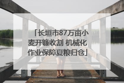 长垣市87万亩小麦开镰收割 机械化作业保障夏粮归仓