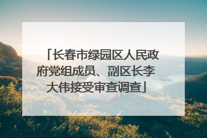 长春市绿园区人民政府党组成员、副区长李大伟接受审查调查