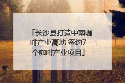 长沙县打造中南咖啡产业高地 签约7个咖啡产业项目