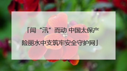 闻“汛”而动 中国太保产险丽水中支筑牢安全守护网