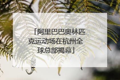 阿里巴巴奥林匹克运动场在杭州全球总部揭幕