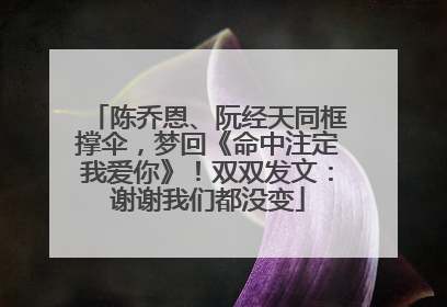 陈乔恩、阮经天同框撑伞，梦回《命中注定我爱你》！双双发文：谢谢我们都没变