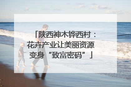 陕西神木铧西村：花卉产业让美丽资源变身“致富密码”