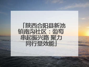 陕西合阳县新池镇南沟社区：葡萄串起振兴路 聚力同行显效能