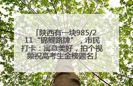 陕西有一块985/211“锦鲤路牌”，市民打卡：寓意美好，拍个视频祝高考生金榜题名