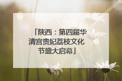 陕西：第四届华清宫贵妃荔枝文化节盛大启幕