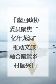 隆回政协委员聚焦“亿年龙洞” 推动文旅融合赋能乡村振兴