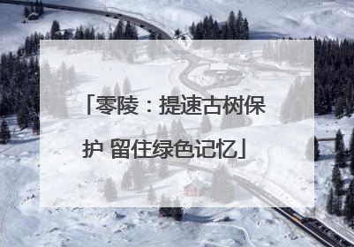 零陵：提速古树保护 留住绿色记忆
